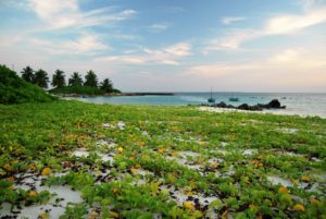Hangnaameedhoo-island-maldive-bikini-beach-soggiorno-low-cost-guesthouse