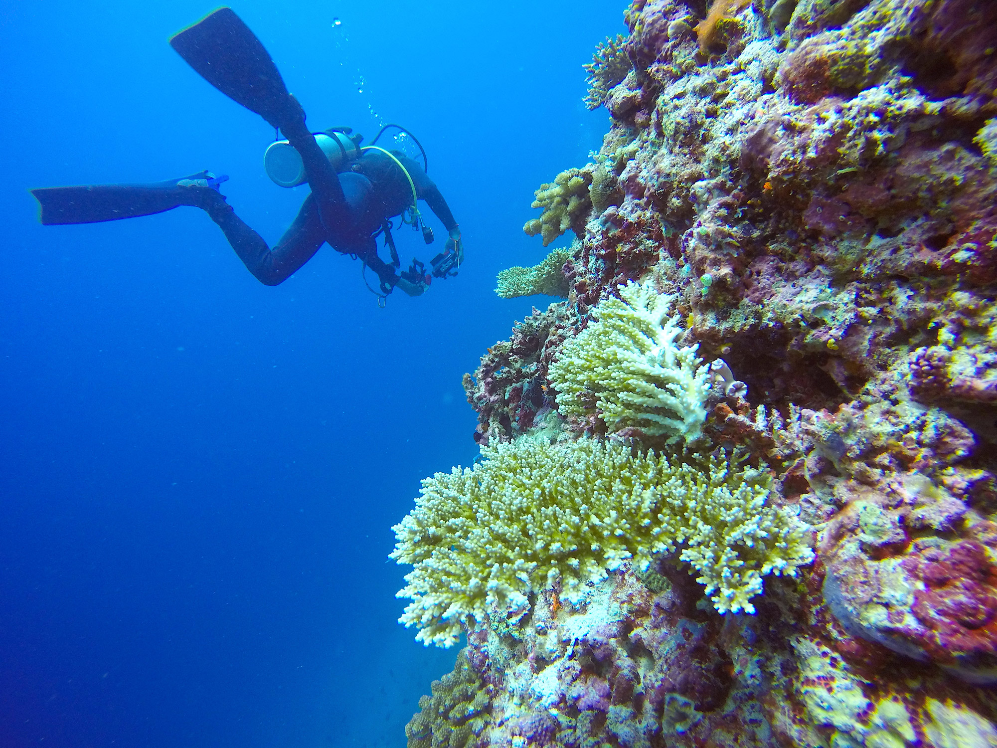 Diving-maldives-guesthouse-soggiorno-low-cost-snorkeling